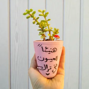 Hand-Painted Golden Yellow Clay Mini Planter with Cactus Seeds 15x5 cm