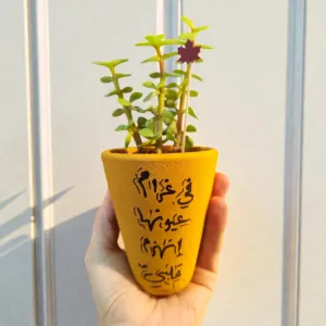 Hand-Painted Warm Yellow Clay Mini Planter with Cactus Seeds 15x5 cm