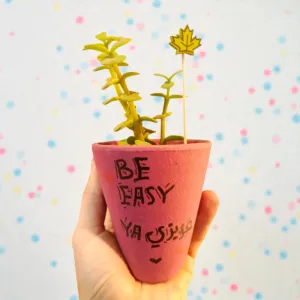 Hand-Painted Coral Pink Clay Mini Planter with Cactus Seeds 15x5 cm